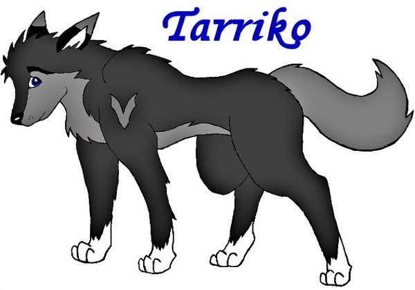 Tarriko1