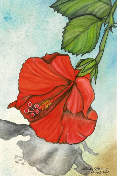 Sarah's Red Hibiscus