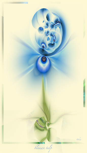 blauwe tulp