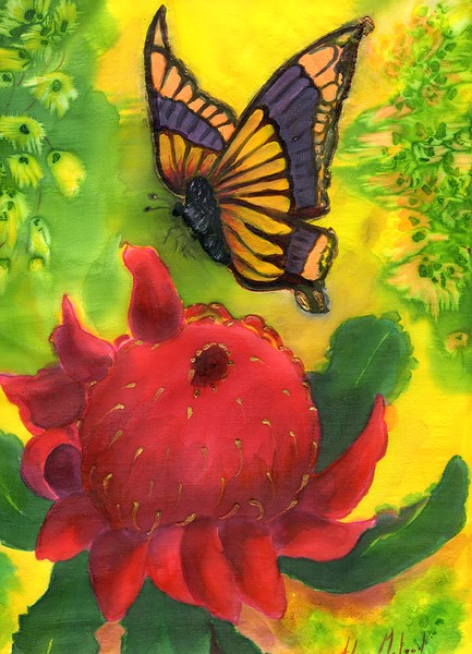 Waratah and Butterfly