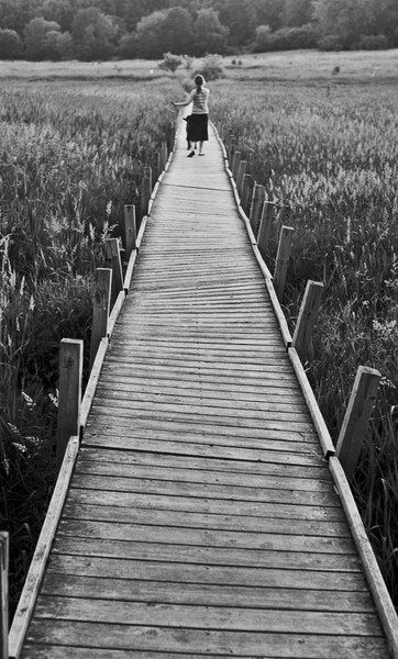 Walkway through the weeds