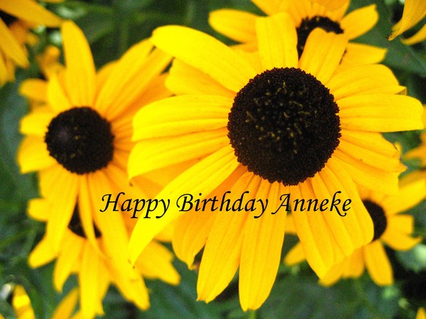 Happy Birthday Anneke