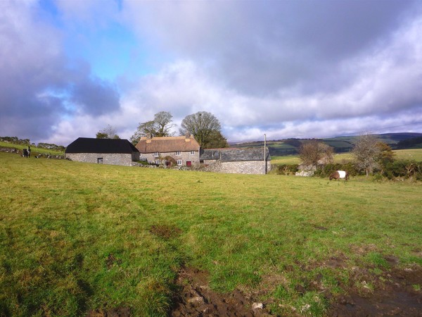 Dartmoor Farmhouse