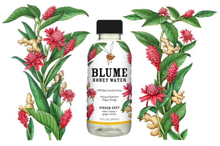 Ginger Illustrations for Blume Honey Water