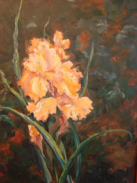 Golden Iris