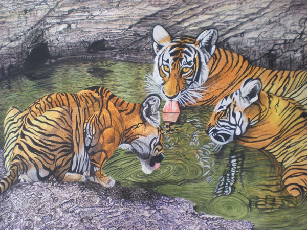 Tigers playing in a waterhole