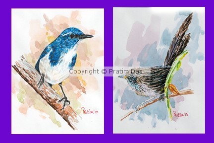 Two bird paintings