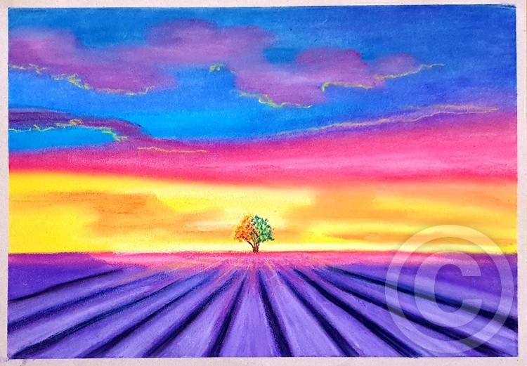Sunset in Lavender field