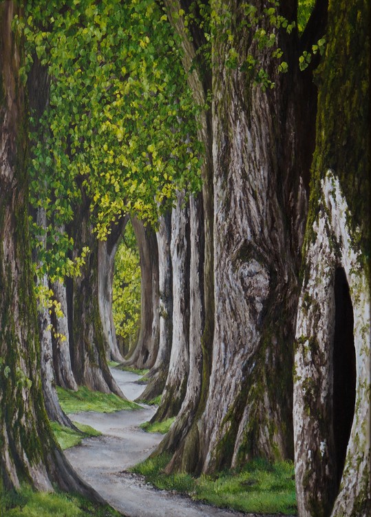 Bomenpad / path of trees