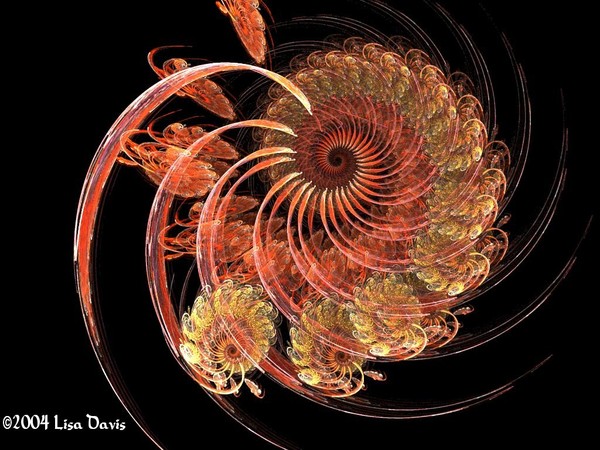 Flower spiral