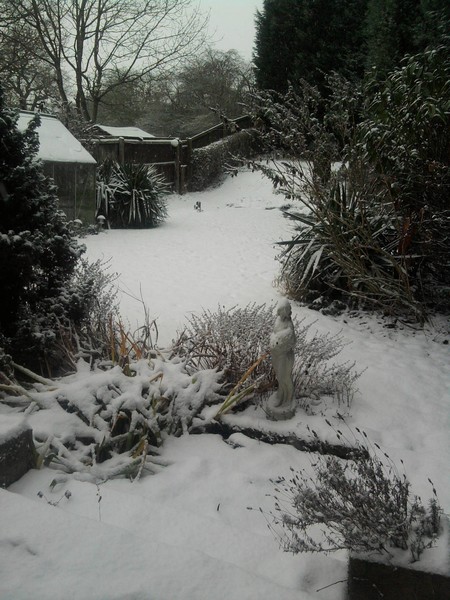 Garden snow 2