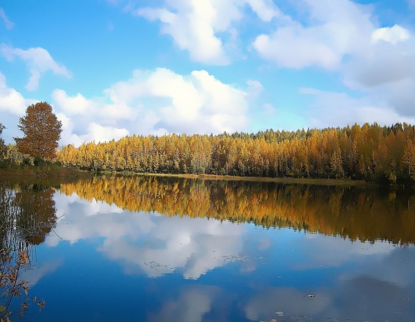 Autumn Reflections I