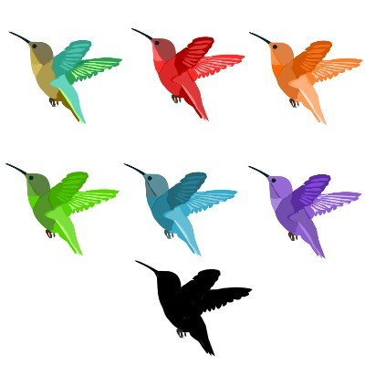 Color theory Birds