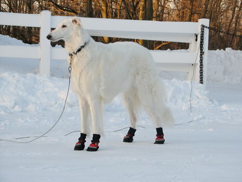 Snow boot model