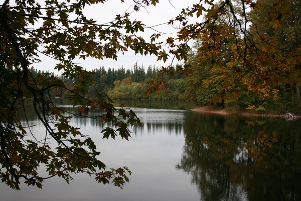 Fall Reflections