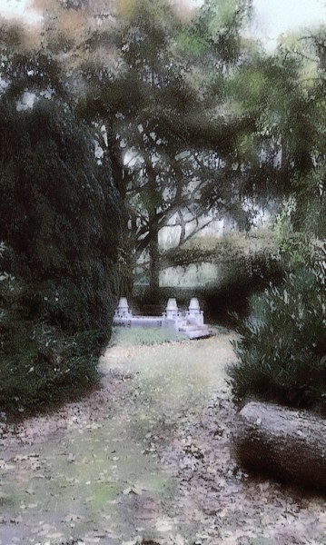 Old Cemetry Rotterdam 2