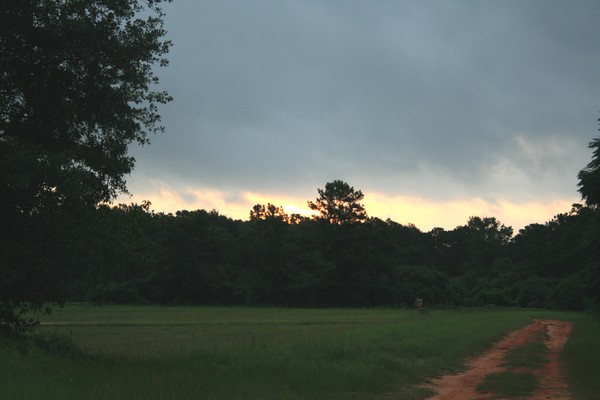 Sunrise with bluer skies