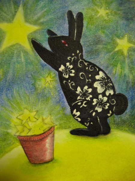 a black rabbit is picking stars