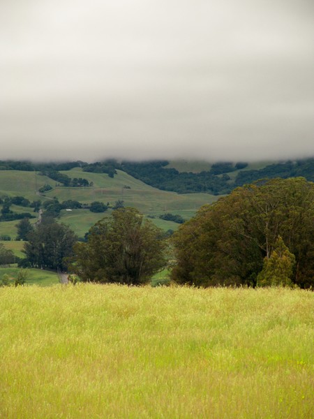 Sonoma Hills 5-2014#2