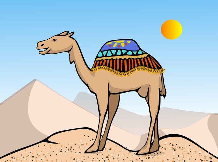 Exalted Camel