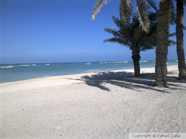 Beach at Sharjah.
