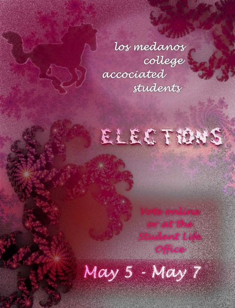 LMCAS Elections Flyer