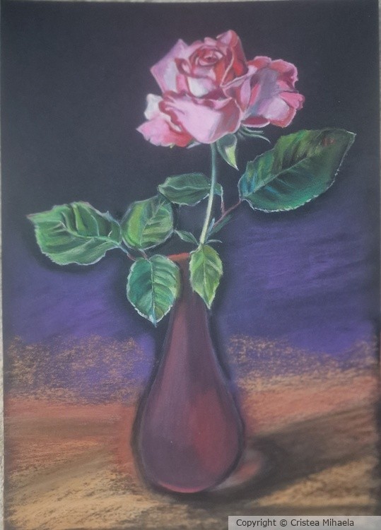 rose in the vase