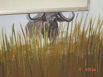 Mural -Cape Buffalo