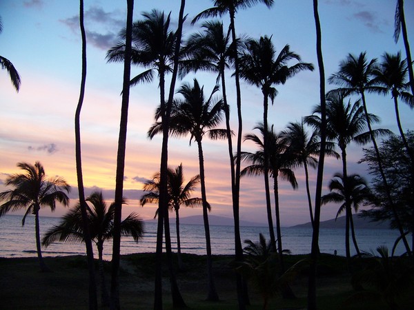 Tropical sunset Maui