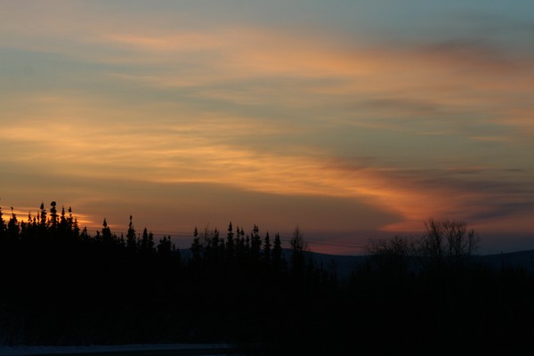 Black Spruce Sunset