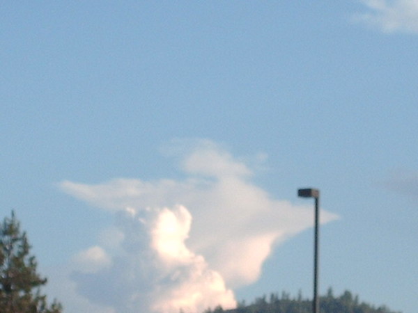 teddy bear cloud 