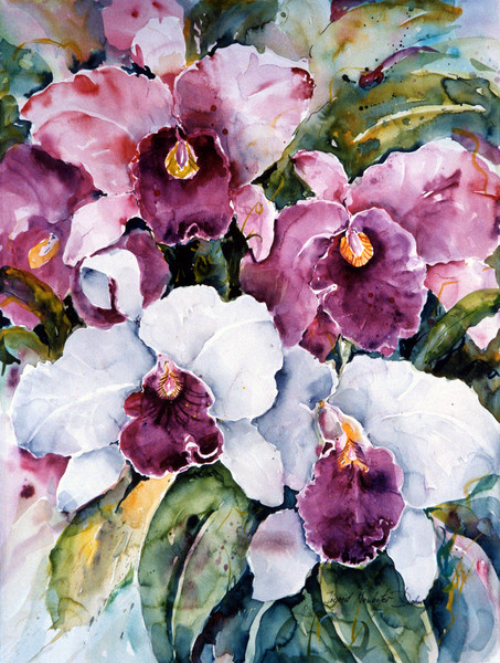 Orchids II