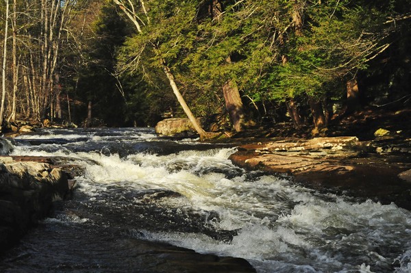 Mountain Stream #2