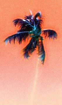 Glowing Palm