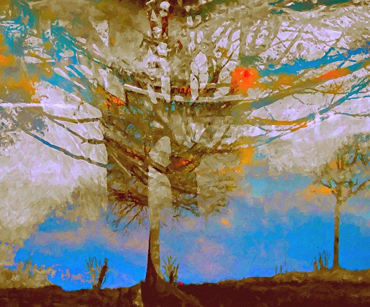 Abstract with trees