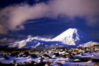 tongariro national park