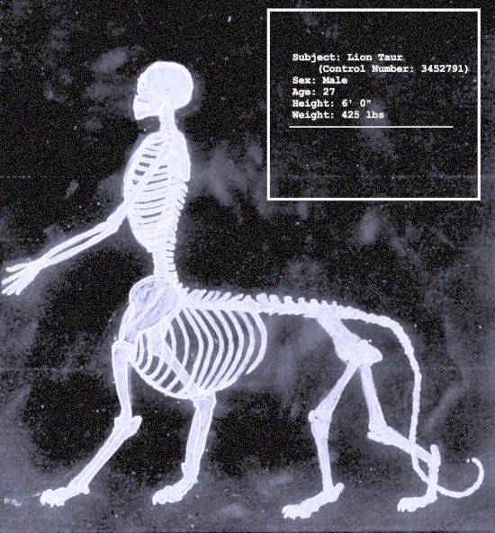 LionTaur X-ray