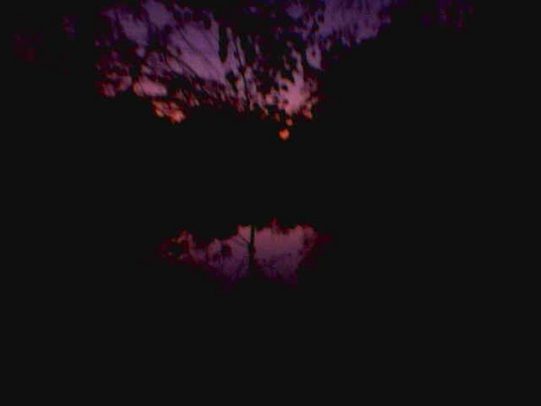 Bayou Sunset