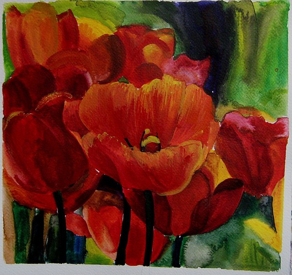  red tulips 