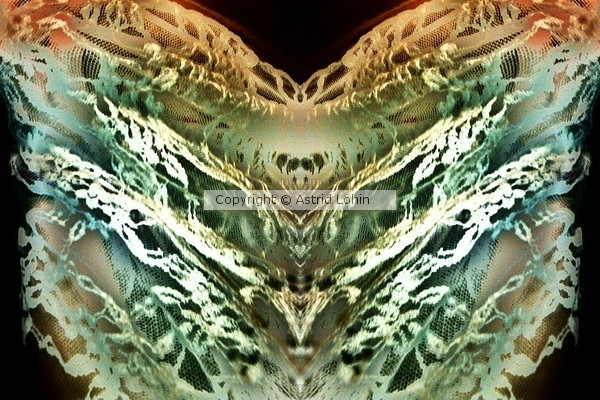 polilla mariposa de encaje