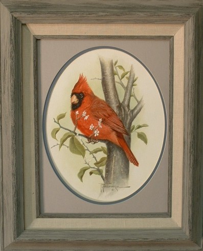 Cardinal