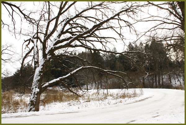 SNOWY ROAD