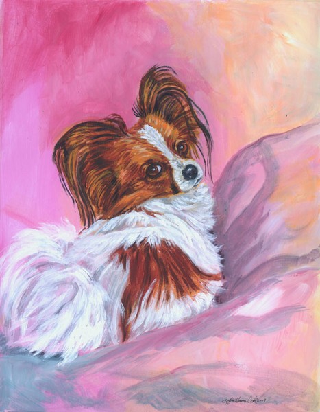 Papillon Dog