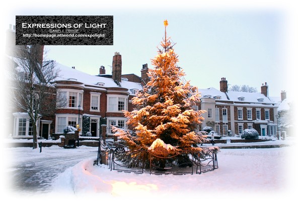 ExpoLight-Card-Lincoln-Christmas-Tree-Of-Life-Floodlit-&-The-Number-Houses-Winter-2010-0001C (SP)