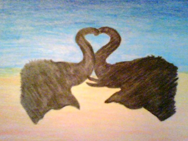 Elelphants in Love