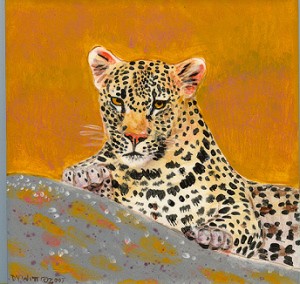 Leopard at Sunset