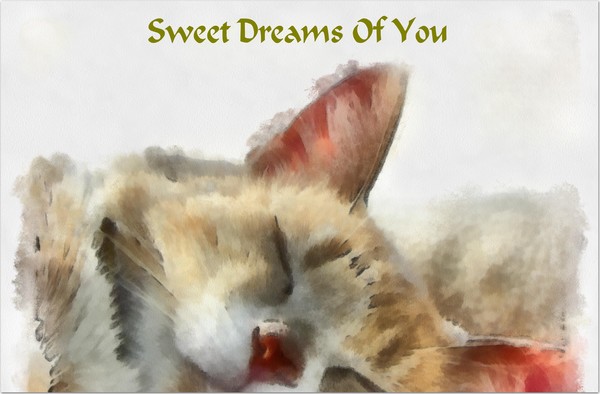 Sweet Dreams Of You