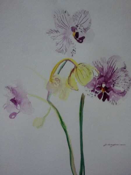 watercolor painting Orchids