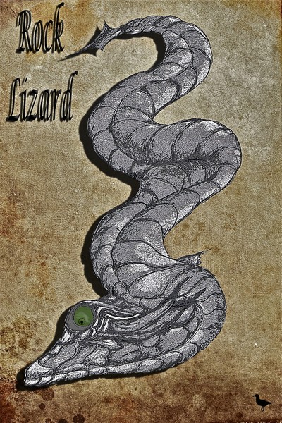 Rock Lizard