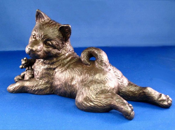 Norwegian Elkhound Pup w/toy